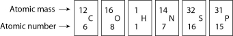 Figure 2.4 -How many neutrons are present in the nucleus of a phosphorus-32 (32P) atom (see Figure 2.4)?