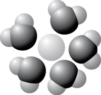 Figure 2.9 -Based on your knowledge of the polarity of water molecules, the solute molecule depicted in Figure 2.9 is most likely