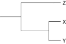 <strong>The following questions refer to Figure 19.1, which shows an outcrop of sedimentary rock whose strata are labeled A-D. Figure 19.1 Currently, two extant elephant species (X and Y) are placed in the genus Loxodonta and a third species (Z) is placed in the genus Elephas. Assuming this classification reflects evolutionary relatedness, which of the following is the most accurate phylogenetic tree?</strong> A) B) C) D) E)
