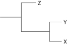 <strong>The following questions refer to Figure 19.1, which shows an outcrop of sedimentary rock whose strata are labeled A-D. Figure 19.1 Currently, two extant elephant species (X and Y) are placed in the genus Loxodonta and a third species (Z) is placed in the genus Elephas. Assuming this classification reflects evolutionary relatedness, which of the following is the most accurate phylogenetic tree?</strong> A) B) C) D) E)