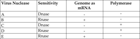 <strong>Use the following information to answer the following questions. In 1971, David Baltimore described a scheme for classifying viruses based on how the virus produces mRNA. Table 17.1 shows the results of testing five viruses (A-E) for nuclease specificity, the ability of the viral genome to act as an mRNA, and the presence (+) or absence (-) of each virus's own polymerase. Table 17.1 Based on Table 17.1, which virus meets the Baltimore requirements for a retrovirus?</strong> A) A B) B C) C D) D E) E