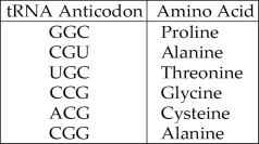 <strong>The following information should be used for the next few questions. A part of an mRNA molecule with the following sequence is being read by a ribosome: 5' CCG-ACG 3' (mRNA). The charged transfer RNA molecules shown in Figure 14.4 (with their anticodons shown in the 3' to 5' direction) are available. Two of them can correctly match the mRNA so that a dipeptide can form. Figure 14.4 The anticodon loop of the first tRNA that will complement this mRNA is</strong> A) 3' GGC 5'. B) 5' GGC 3'. C) 5' ACG 3'. D) 5' UGC 3'. E) 3' UGC 5'.