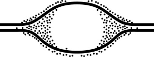 <strong> Figure 13.2 In an experiment, DNA is allowed to replicate in an environment with all necessary enzymes, dATP, dCTP, dGTP, and radioactively labeled dTTP (3H thymidine). After several minutes, the DNA is switched to nonradioactive medium and is then viewed by electron microscopy and autoradiography. Figure 13.2 represents the results. It shows a replication bubble, and the dots represent radioactive material. Which of the following is the most likely interpretation of the results?</strong> A) There are two replication forks going in opposite directions. B) Thymidine is being added only where the DNA strands are farthest apart. C) Thymidine is being added only at the very beginning of replication. D) Replication proceeds in one direction only.