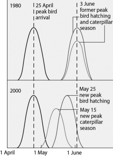 Figure 43.3 Use the graph in Figure 43.3 and the information provided in the paragraph below to answer the following questions. Flycatcher birds that migrate from Africa to Europe feed their nestlings a diet that is almost exclusively moth caterpillars. The graph in Figure 43.3 shows the mean (peak) dates of bird arrival, bird hatching, and caterpillar season for the years 1980 and 2000. -Your friend is wary of environmentalists' claims that climate change could lead to major biological change on Earth. Which of the following statements should you use to support the biological predictions associated with climate change?