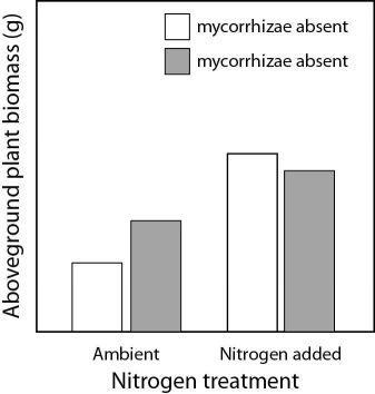 <strong>Please use the following information to answer the question(s) below. A scientist conducts an experiment to quantify the effect of mycorrhizae and soil nitrogen levels on plant growth in a grassland. The experiment has four treatments: (1) Mycorrhizae present and ambient levels of nitrogen, (2) mycorrhizae present and nitrogen added, (3) mycorrhizae absent and ambient levels of nitrogen, and (3) mycorrhizae absent and nitrogen added. After four weeks, the scientist removes the aboveground plant material for weighing. Figure 42.4. Figure 42.4 shows the results of the experiment. What is (are) the independent variable(s)?</strong> A) nitrogen treatment only B) biomass of aboveground plant biomass only C) presence and absence of mycorrhizae D) nitrogen treatment and whether mycorrhizae are present