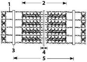 <strong> Figure 39.1 The structure pictured in Figure 39.1 is found in</strong> A) skeletal muscles and smooth muscles only. B) cardiac muscles and skeletal muscles only. C) smooth muscles and cardiac muscles only. D) smooth muscles, skeletal muscles, and cardiac muscles. E) smooth muscles only.