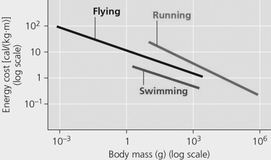 Figure 39.2 The most energetically efficient locomotion per unit mass is likely