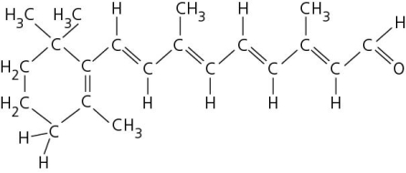 This is the trans isomer of retinal. Where would it be bound to the opsin protein and why?