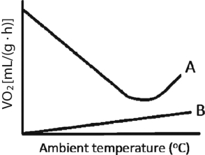 Researchers measure animals' oxygen consumption (VO₂) as a way to quantify metabolic rate. A researcher measured the VO₂ for two animals, A and B, as function of ambient temperature and collected the data shown in Figure 32.2 below. One of the animals was an ectotherm and one was an endotherm. Which animal was the endotherm and why?