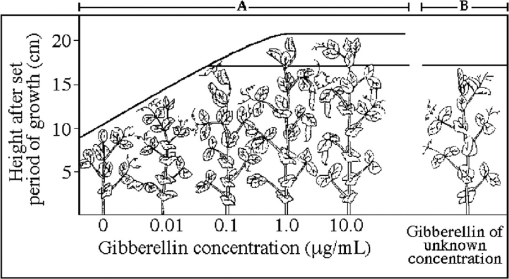 <strong> Figure 31.2 This experiment suggests that the unknown amount of gibberellin in the experimental plant (B) is approximately</strong> A) zero. B) 0.01 μg/mL. C) 0.1 μg/mL. D) 1.0 μg/mL.