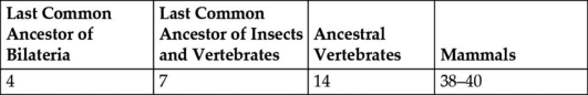 Table 27.1. Proposed Number of Hox Genes in Various Extant and Extinct Animals -All things being equal, which of these is the simplest explanation for the change in the number of Hox genes from the last common ancestor of insects and vertebrates to ancestral vertebrates, as shown in Table 27.1?