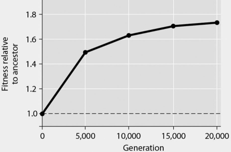 <strong>Please use the following information to answer the question(s) below. In Figure 24.1, data are presented from an eight-year experiment in which 12 populations of Escherichia coli, each begun from a single cell, were grown in low-glucose conditions for 20,000 generations. Each culture was introduced to fresh growth medium every 24 hours. Occasionally, samples were removed from the populations, and their fitness in low-glucose conditions was tested against that of members sampled from the ancestral (common ancestor) E. coli population. Figure 24.1 If new genetic variation in the experimental populations arose solely by spontaneous mutations, then the most effective process for subsequently increasing the number of individuals that possess all of these beneficial mutations is</strong> A) transduction. B) binary fission. C) conjugation. D) transformation. E) meiosis.
