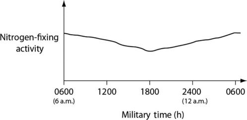 <strong>Figure 24.2 depicts changes to the amount of DNA present in a recipient cell that is engaged in conjugation with an Hfr cell. Hfr cell DNA begins entering the recipient cell at time A. Assume that reciprocal crossing over occurs (in other words, a fragment of the recipient's chromosome is exchanged for a homologous fragment from the Hfr cell's DNA). Use Figure 24.2 to answer the following question(s). Figure 24.2 Data were collected from the heterocysts of a nitrogen-fixing cyanobacterium inhabiting equatorial ponds. Study the following figure and choose the most likely explanation for the shape of the curve. Figure 24.3</strong> A) Enough O₂ enters heterocysts during hours of peak photosynthesis to have a somewhat-inhibitory effect on nitrogen fixation. B) Light-dependent reaction rates must be highest between 1800 hours and 0600 hours. C) Atmospheric N2 levels increase at night because plants are no longer metabolizing this gas, so they are not absorbing this gas through their stomata. D) Heterocyst walls become less permeable to N2 influx during darkness.