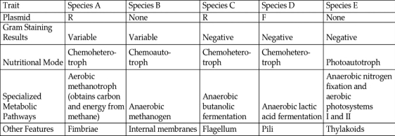 <strong>The table depicts characteristics of five prokaryotic species (A-E). Use the information in the table to answer the following question(s). Table 24.1 How many of these species probably have a cell wall that partly consists of an outer membrane of lipopolysaccharide?</strong> A) only one species B) two species C) three species D) four species E) all five species