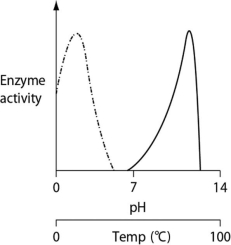 <strong>Thermoacidophiles are archaeans that are able to successfully live and reproduce in environments that are acidic, have high sulfur content and temperatures, and have little organic material. Consider the thermoacidophile Sulfolobus acidocaldarius. Which of the following graphs most accurately depicts the expected temperature and pH profiles of its enzymes? (Note: The horizontal axes of these graphs are double, with pH above and temperature below.) </strong> A) B) C) D)