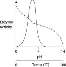<strong>Thermoacidophiles are archaeans that are able to successfully live and reproduce in environments that are acidic, have high sulfur content and temperatures, and have little organic material. Consider the thermoacidophile Sulfolobus acidocaldarius. Which of the following graphs most accurately depicts the expected temperature and pH profiles of its enzymes? (Note: The horizontal axes of these graphs are double, with pH above and temperature below.) </strong> A) B) C) D)