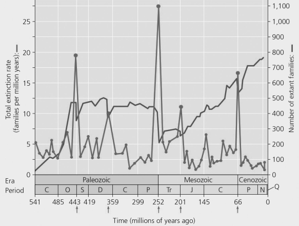 <strong> Figure 23.3 Figure 23.5 Which period had the greatest rate of extinction?</strong> A) Permian B) Cretaceous C) Devonian D) Cambrian