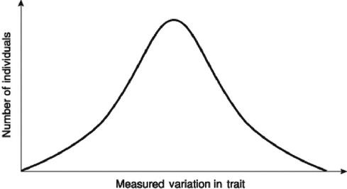 <strong>  Figure 21.3 In a very large population, a quantitative trait has the distribution pattern shown in Figure 21.3. If the curve in Figure 21.3 shifts to the left or to the right, there is no gene flow, and the population size consequently increases over successive generations. Which of the following is (are) probably occurring? 1) immigration or emigration 2) directional selection 3) adaptation 4) genetic drift 5) disruptive selection</strong> A) 1 only B) 4 only C) 2 and 3 D) 4 and 5 E) 1, 2, and 3 <div style=padding-top: 35px> 