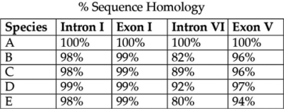 <strong>The next question(s) refer to Table 20.1, which compares the % sequence homology of four different parts (two introns and two exons) of a gene that is found in five different eukaryotic species. Each part is numbered to indicate its distance from the promoter (for example, intron I is the one closest to the promoter). The data reported for species A were obtained by comparing DNA from one member of species A to the DNA of another member of species A.   Table 20.1 Regarding these sequence homology data, the principle of maximum parsimony would be applicable in</strong> A) distinguishing introns from exons. B) determining degree of sequence homology. C) selecting appropriate genes for comparison among species. D) inferring evolutionary relatedness from the number of sequence differences. <div style=padding-top: 35px> 