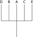 <strong>The next question(s) refer to Table 20.1, which compares the % sequence homology of four different parts (two introns and two exons) of a gene that is found in five different eukaryotic species. Each part is numbered to indicate its distance from the promoter (for example, intron I is the one closest to the promoter). The data reported for species A were obtained by comparing DNA from one member of species A to the DNA of another member of species A.   Table 20.1 Based on the tabular data, and assuming that time advances vertically, which cladogram (a type of phylogenetic tree) is the most likely depiction of the evolutionary relationships among these five species?</strong> A)   B)   C)   D)   <div style=padding-top: 35px> 