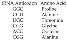 <strong>Please use the following information to answer the question(s) below. A part of an mRNA molecule with the following sequence is being read by a ribosome: 5'-CCG-ACG-3' (mRNA). The charged transfer RNA molecules shown in Figure 14.4 (with their anticodons shown in the 3' to 5' direction) are available. Two of them can correctly match the mRNA so that a dipeptide can form. Figure 14.4 The dipeptide that will form will be</strong> A) cysteine-alanine. B) proline-threonine. C) glycine-cysteine. D) alanine-alanine. E) threonine-glycine.