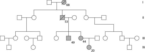 <strong>Use the following pedigree (Figure 11.3) for a family in which dark-shaded symbols represent individuals with one of the two major types of colon cancer. Numbers under the symbols are the individual's age at the time of diagnosis. A slash through the symbol indicates that the individual is deceased. Figure 11.3 From this pedigree, how does this trait seem to be inherited?</strong> A) from mothers B) as a recessive trait C) as a result of epistasis D) as a dominant trait E) as an incompletely dominant trait