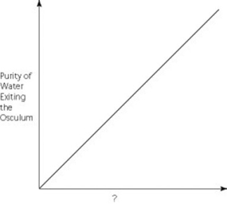 <strong>Use the graph to answer the following question. Which of the following factors, when used to label the horizontal axis of the graph, would account most directly for the shape of the plot?</strong> A) rate of cribrostatin synthesis (molecules/unit time) B) number of pores per sponge C) number of spicules per sponge D) number of choanocytes per sponge
