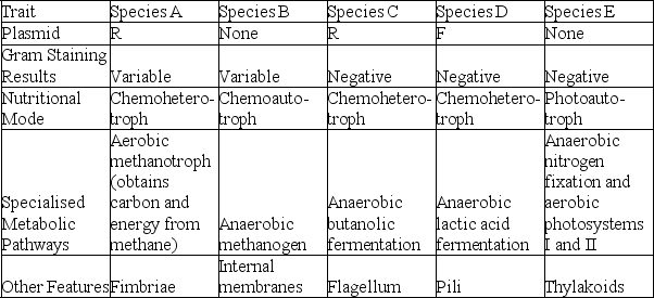 The following table depicts characteristics of five prokaryotic species (A-E). Use the information in the table to answer the following question. - Which species is capable of directed movement?