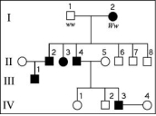 <strong>The following question refers to the pedigree chart in the figure for a family, some of whose members exhibit the dominant trait, W. Affected individuals are indicated by a dark square or circle. What is the genotype of individual II-5?</strong> A) WW B) Ww C) ww D) ww or Ww