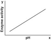 <strong>Which of the following graphs most likely describes the effect of pH on the function of the enzyme catalase in human cells? Note: The x-axis is pH and the y-axis is enzyme activity.</strong> A) B) C) D)