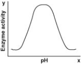 <strong>Which of the following graphs most likely describes the effect of pH on the function of the enzyme catalase in human cells? Note: The x-axis is pH and the y-axis is enzyme activity.</strong> A) B) C) D)
