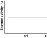 <strong>Which of the following graphs most likely describes the effect of pH on the function of the enzyme catalase in human cells? Note: The x-axis is pH and the y-axis is enzyme activity.</strong> A) B) C) D)