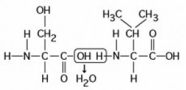 <strong>Use the following figure to answer the question. The chemical reaction illustrated ________.</strong> A) is a hydrolysis reaction B) results in a peptide bond C) joins two fatty acids together D) links two polymers to form a monomer