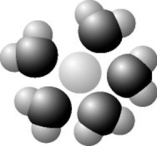<strong>Use the following figure to answer the question. Based on your knowledge of the polarity of water molecules, the solute molecule depicted is most likely ________.</strong> A) positively charged B) negatively charged C) without charge D) nonpolar