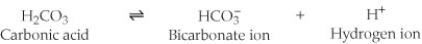 <strong>One of the buffers that contribute to pH stability in human blood is carbonic acid (H₂CO₃). Carbonic acid is a weak acid that, when placed in an aqueous solution, dissociates into a bicarbonate ion (HCO₃-) and a hydrogen ion (H⁺). (See figure.) If the pH of blood drops, one would expect ________.</strong> A) a decrease in the concentration of H₂CO₃ and an increase in the concentration of HCO₃- B) the concentration of bicarbonate ions (HCO₃-) to increase C) the HCO₃- to act as a base and remove excess H⁺ by the formation of H₂CO₃ D) the HCO₃- to act as an acid and remove excess H⁺ by the formation of H₂CO₃