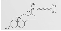 <strong> This figure represents an example of a(n)</strong> A) steroid. B) triglyceride. C) phospholipids. D) wax. E) fatty acid.