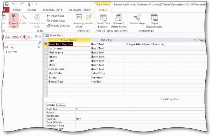 -In the accompanying figure,the Book Rep table displays in ____.