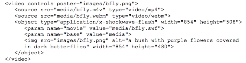 <strong> Referring to the code shown in the figure above, which element specifies the fallback image?</strong> A) video B) source C) param D) img