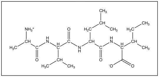 <strong>The diagram below shows </strong> A)an amino acid. B)a dipeptide. C)a tripeptide. D)a tetrapeptide. E)a polypeptide.