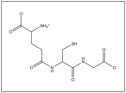 <strong>the diagram below. -What is the name of this molecule?</strong> A)GABA B)thyroxine C)( \gamma -carboxyglutamate) D)glutathione E)epinephrine