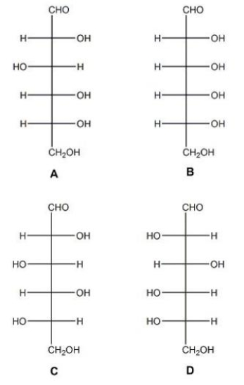 <strong>This figure is used in questions Which of the sugars shown in the figure above are L sugars?</strong> A)A and B B)B and C C)C and D D)A and D E)None of the above