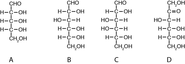 <strong>This figure is used in questions . Which structure shown in the figure above is ribose?</strong> A)A B)B C)C D)D E)None of the above