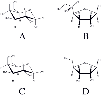 <strong>This figure is used in questions . Which of the structures shown in the figure above is a glucopyranose?</strong> A)A B)B C)C D)D E)None of the above