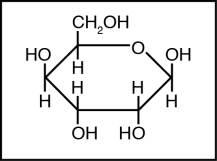<strong>The structure below shows \beta -D-gulopyranose. Which of the structures below represents a Fischer projection of D-gulose? </strong> A) B) C) D) E)