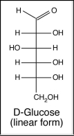 The picture below shows a Fischer projection of D-glucose. a.Is glucose and aldose or a ketose? b.What is the name of the molecule that is formed upon oxidation of the aldehyde to a carboxyl group? c.Draw a Fischer projection of D-galactose, which is an epimer of glucose with respect to the C4 position. d.Draw a Haworth projection of \beta -D-glucopyranose. e.What is the name of the linear polymer in which glucopyranose residues are linked to each other through \beta (1→4)glycosidic bonds.