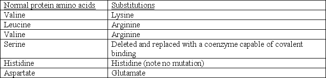 <strong>A recent discovery has suggested that a gene mutation results in several amino acid substitutions within an active site.The following substitutions have been identified and are each expected to form the active site:   It was also noticed that a coenzyme molecule containing a hydroxyl (-OH)group binds to the mutated protein in approximately the same location as the original serine but does not alter the structure of the protein in anyway.Based on your knowledge of amino acids, enzymes, and catalysis, which of the following is a REASONABLE conclusion?</strong> A)The mutant protein cleaves on the carboxy side of phenylalanine. B)The mutant protein cleaves peptide bonds on the carboxy side of glutamate or aspartate. C)The mutant protein cleaves peptide bonds on the carboxy side of lysine or arginine. D)The mutant protein functions identical to chymotrypsin. E)The mutant protein has no function. <div style=padding-top: 35px> 