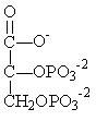 <strong>Which of the following compounds contains a high-energy bond and is used to produce ATP by substrate-level phosphorylation in glycolysis?</strong> A)   B)   C)   D)   E)   <div style=padding-top: 35px> 