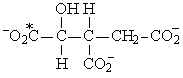 <strong>If acetyl-CoA labeled with <sup>14</sup>C, as shown in the figure to the right, were used as the substrate for the citric acid cycle, which of the following intermediates would be produced during the first round of the cycle?  </strong> A)   B)   C)   D)   E)   <div style=padding-top: 35px> 