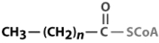 <strong>Considering the figure below, what compound would be formed by action of acyl-CoA dehydrogenase? </strong> A) B) C) D) E)