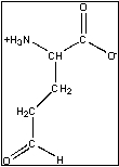 <strong>The pictured compound, glutamate-5-semialdehyde, is an intermediate in the biosynthesis of which of the following amino acids? </strong> A)histidine B)arginine C)methionine D)threonine E)More than one of the above is made from this intermediate.